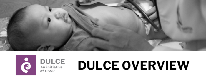 Header of DULCE Overview brief