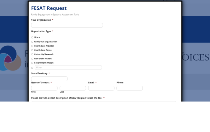Screenshot of FESAT request form